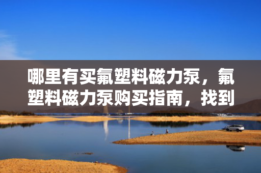 哪里有买氟塑料磁力泵，氟塑料磁力泵购买指南，找到最适合您的购买渠道