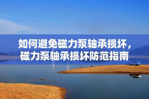 如何避免磁力泵轴承损坏，磁力泵轴承损坏防范指南