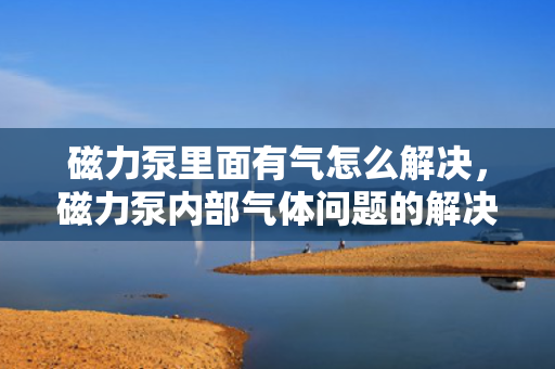 磁力泵里面有气怎么解决，磁力泵内部气体问题的解决方法