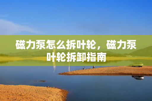 磁力泵怎么拆叶轮，磁力泵叶轮拆卸指南