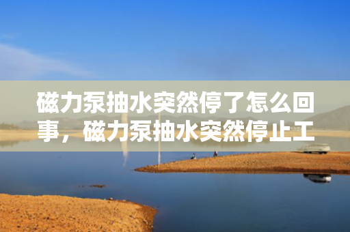 磁力泵抽水突然停了怎么回事，磁力泵抽水突然停止工作的可能原因及解决方法
