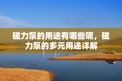 磁力泵的用途有哪些呢，磁力泵的多元用途详解