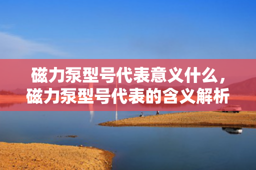 磁力泵型号代表意义什么，磁力泵型号代表的含义解析