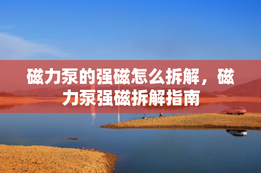磁力泵的强磁怎么拆解，磁力泵强磁拆解指南