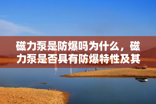磁力泵是防爆吗为什么，磁力泵是否具有防爆特性及其原因解析