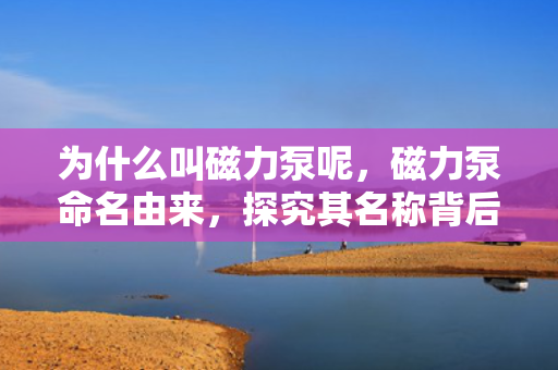 为什么叫磁力泵呢，磁力泵命名由来，探究其名称背后的原因