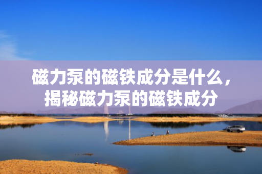 磁力泵的磁铁成分是什么，揭秘磁力泵的磁铁成分