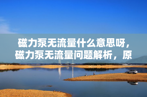 磁力泵无流量什么意思呀，磁力泵无流量问题解析，原因与解决方案