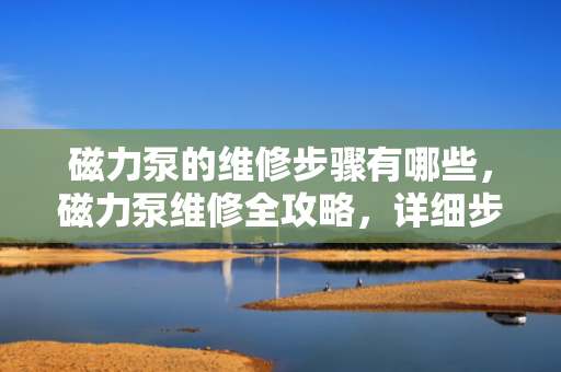 磁力泵的维修步骤有哪些，磁力泵维修全攻略，详细步骤解析