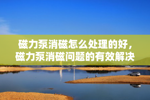 磁力泵消磁怎么处理的好，磁力泵消磁问题的有效解决方法