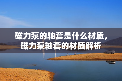 磁力泵的轴套是什么材质，磁力泵轴套的材质解析