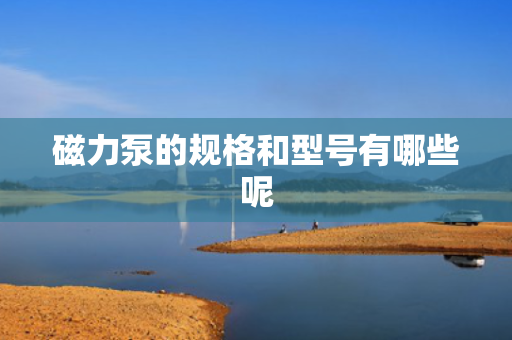 磁力泵的规格和型号有哪些呢