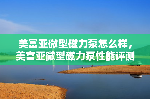 美富亚微型磁力泵怎么样，美富亚微型磁力泵性能评测及用户反馈