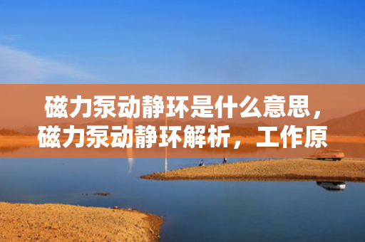 磁力泵动静环是什么意思，磁力泵动静环解析，工作原理与功能介绍