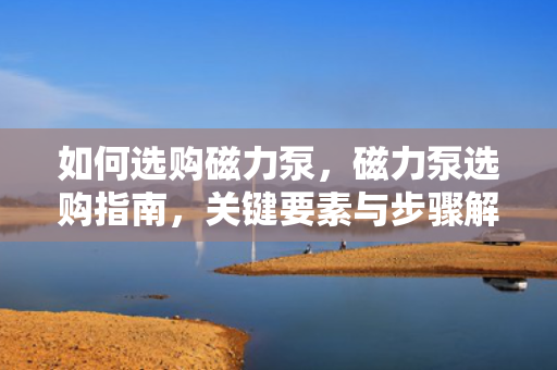 如何选购磁力泵，磁力泵选购指南，关键要素与步骤解析