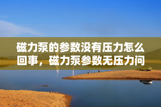 磁力泵的参数没有压力怎么回事，磁力泵参数无压力问题的原因及解决方法