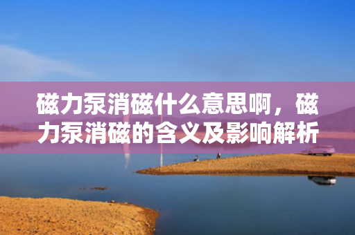 磁力泵消磁什么意思啊，磁力泵消磁的含义及影响解析