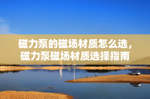 磁力泵的磁场材质怎么选，磁力泵磁场材质选择指南