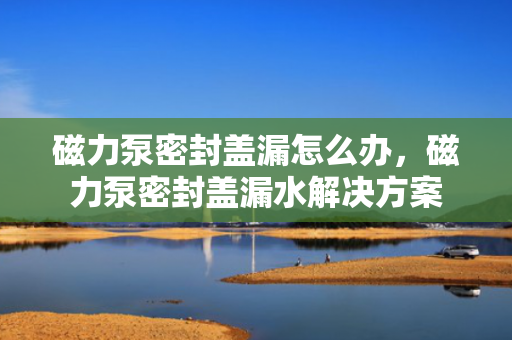 磁力泵密封盖漏怎么办，磁力泵密封盖漏水解决方案