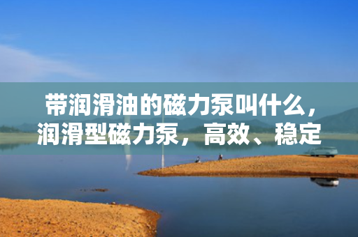 带润滑油的磁力泵叫什么，润滑型磁力泵，高效、稳定的流体输送解决方案