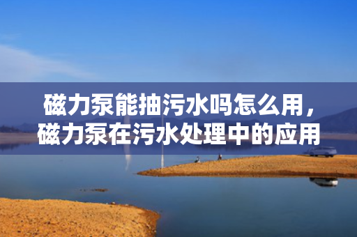 磁力泵能抽污水吗怎么用，磁力泵在污水处理中的应用方法与注意事项