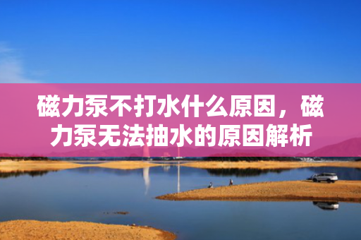 磁力泵不打水什么原因，磁力泵无法抽水的原因解析
