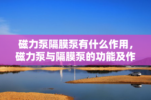 磁力泵隔膜泵有什么作用，磁力泵与隔膜泵的功能及作用解析