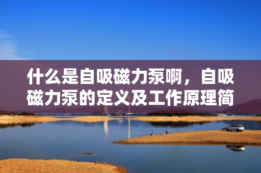 什么是自吸磁力泵啊，自吸磁力泵的定义及工作原理简介
