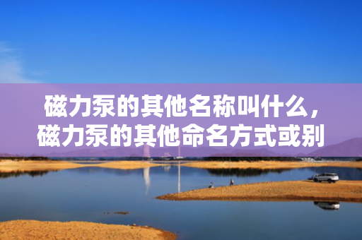 磁力泵的其他名称叫什么，磁力泵的其他命名方式或别称是什么