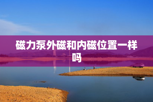 磁力泵外磁和内磁位置一样吗