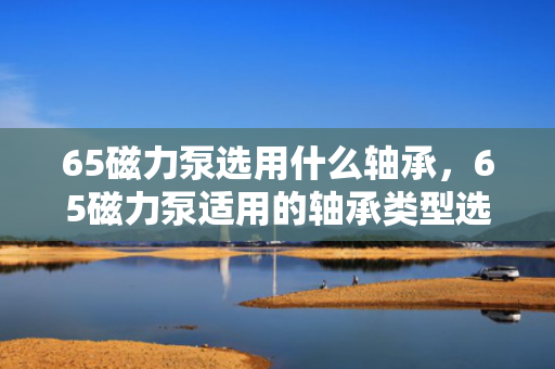 65磁力泵选用什么轴承，65磁力泵适用的轴承类型选择