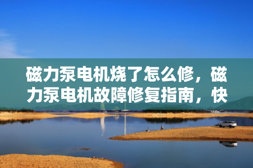 磁力泵电机烧了怎么修，磁力泵电机故障修复指南，快速解决烧毁问题