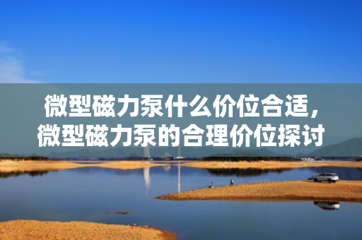 微型磁力泵什么价位合适，微型磁力泵的合理价位探讨