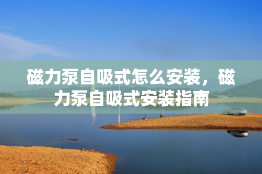 磁力泵自吸式怎么安装，磁力泵自吸式安装指南