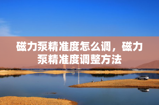 磁力泵精准度怎么调，磁力泵精准度调整方法