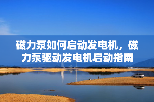 磁力泵如何启动发电机，磁力泵驱动发电机启动指南