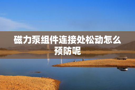 磁力泵组件连接处松动怎么预防呢