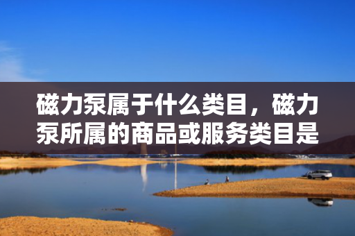 磁力泵属于什么类目，磁力泵所属的商品或服务类目是什么？
