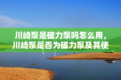 川崎泵是磁力泵吗怎么用，川崎泵是否为磁力泵及其使用方法解析