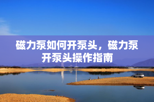 磁力泵如何开泵头，磁力泵开泵头操作指南
