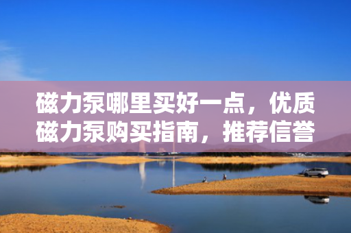 磁力泵哪里买好一点，优质磁力泵购买指南，推荐信誉商家，助你轻松选购