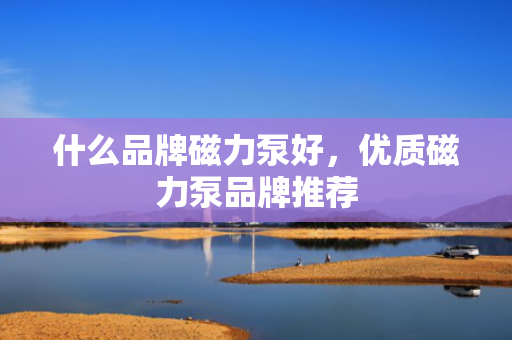 什么品牌磁力泵好，优质磁力泵品牌推荐