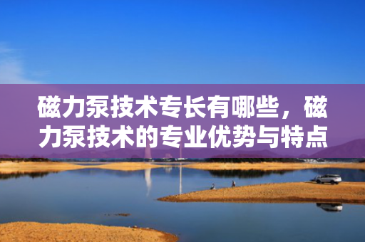 磁力泵技术专长有哪些，磁力泵技术的专业优势与特点解析