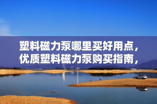 塑料磁力泵哪里买好用点，优质塑料磁力泵购买指南，哪里买更好用？