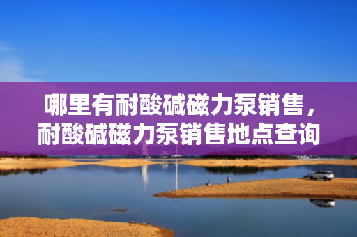 哪里有耐酸碱磁力泵销售，耐酸碱磁力泵销售地点查询