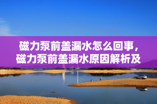 磁力泵前盖漏水怎么回事，磁力泵前盖漏水原因解析及解决方法