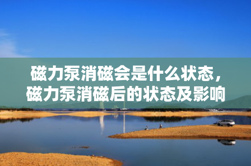 磁力泵消磁会是什么状态，磁力泵消磁后的状态及影响解析