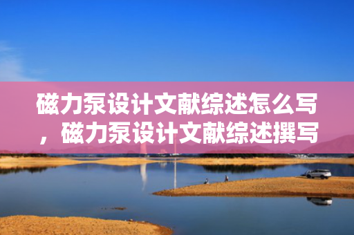 磁力泵设计文献综述怎么写，磁力泵设计文献综述撰写指南
