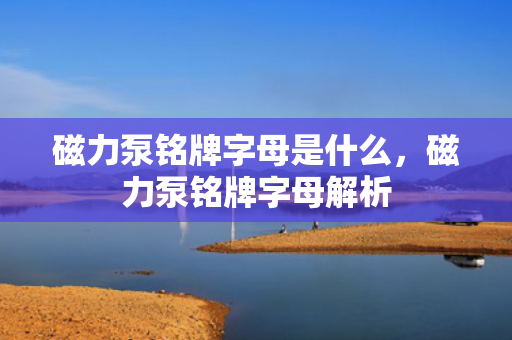 磁力泵铭牌字母是什么，磁力泵铭牌字母解析