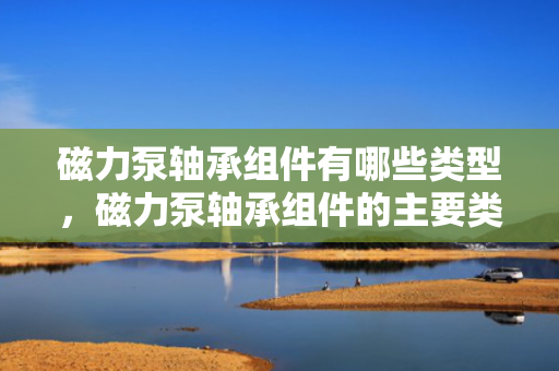 磁力泵轴承组件有哪些类型，磁力泵轴承组件的主要类型概述